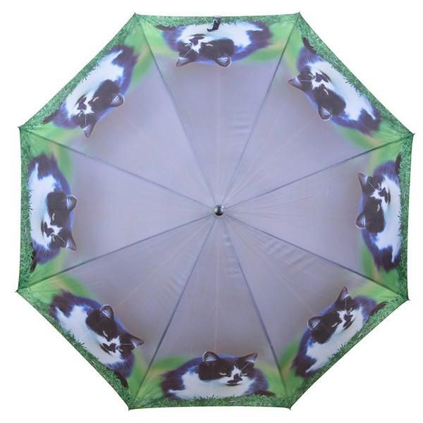 parasol koty