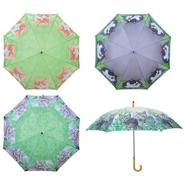 parasol koty