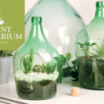plant terrarium małe