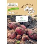 ziemniaki-sadzeniaki-bellarosa (Mały)