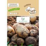 ziemniaki-sadzeniaki-jurek