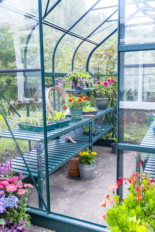 Greenhouse interior with plants and tools on the racking